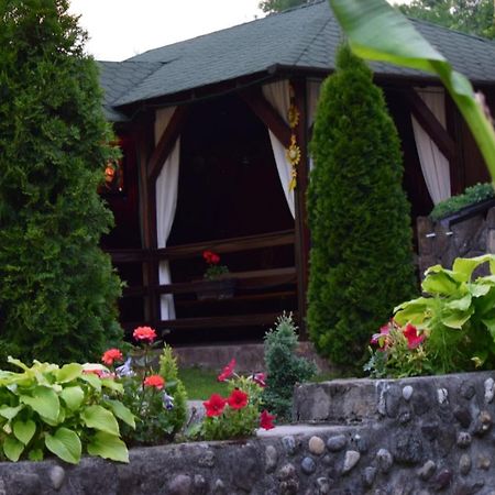 Casa De Vacanta Silvia Vărmaga المظهر الخارجي الصورة