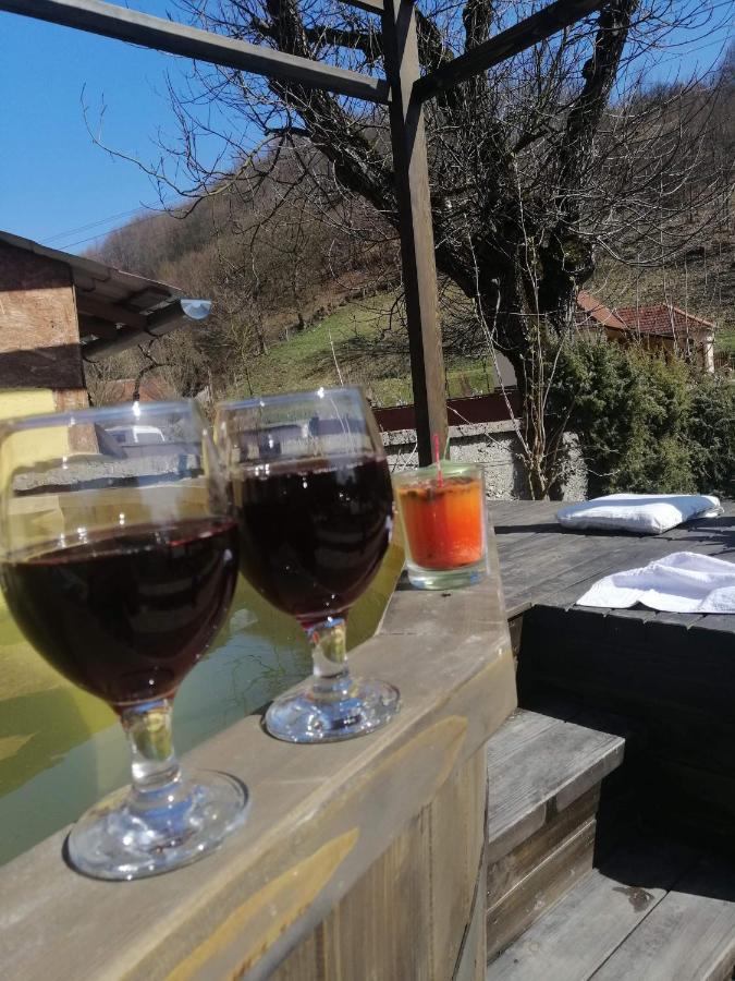 Casa De Vacanta Silvia Vărmaga المظهر الخارجي الصورة