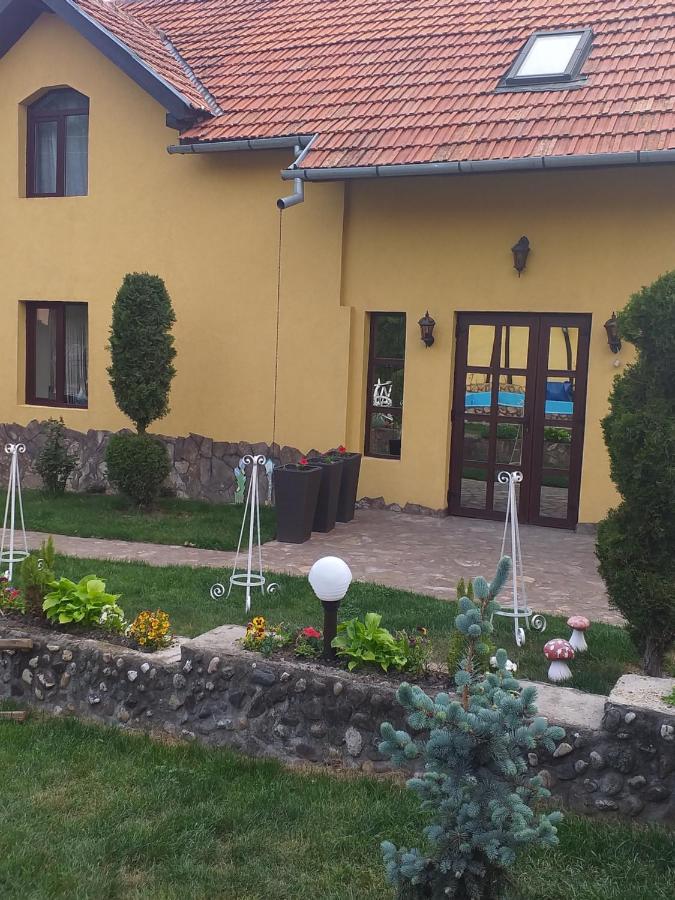 Casa De Vacanta Silvia Vărmaga المظهر الخارجي الصورة