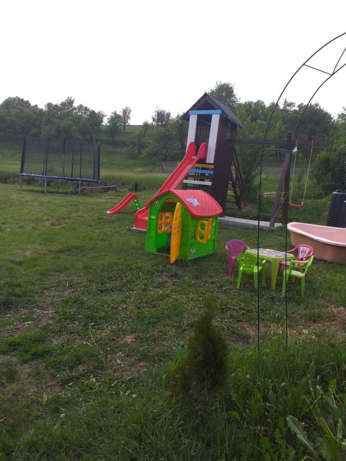 Casa De Vacanta Silvia Vărmaga المظهر الخارجي الصورة